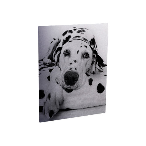 Matte  Photo Panel 8X10