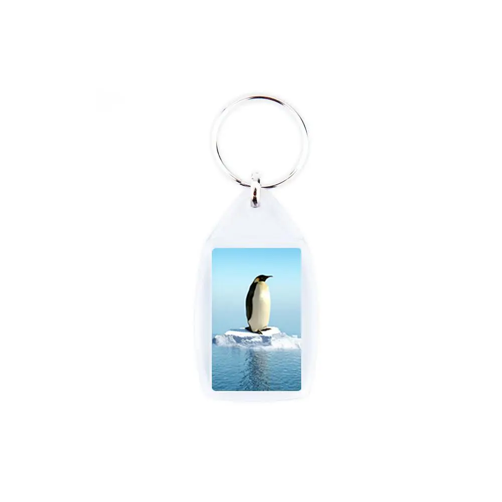 [acrylic-keyring-25x4-24871] Acrylic Keyring 25X40Mm