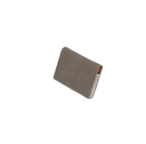 [hard-card-case-25558] Hard Card Case